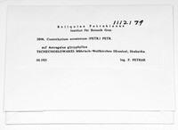 Image Associated With the Occurence